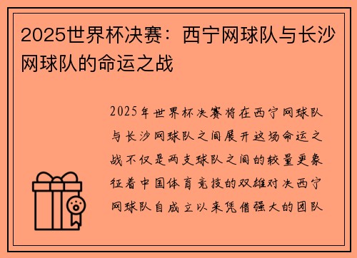 2025世界杯决赛：西宁网球队与长沙网球队的命运之战